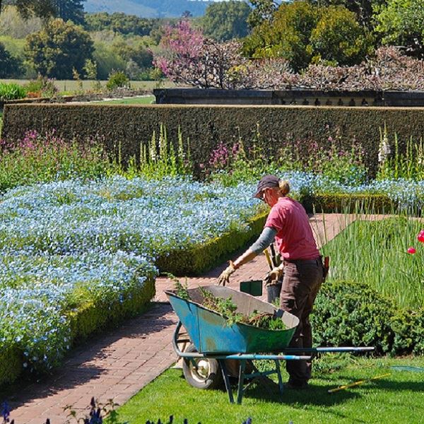 jardineria mantenimiento murcia